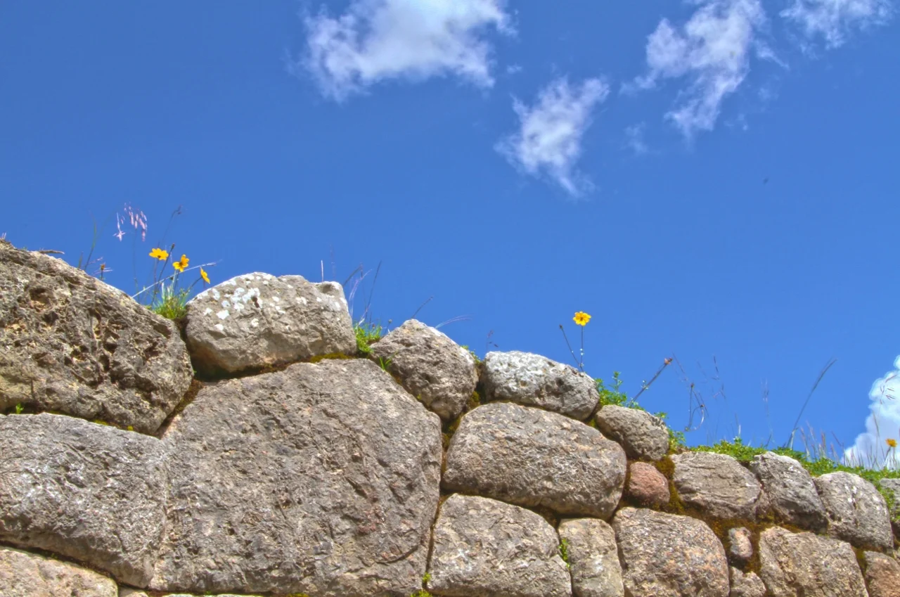 FlowerHDR1 (1280x849).jpg