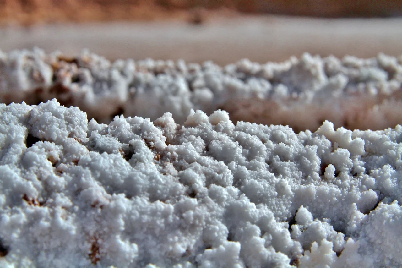 5. Fresh salt