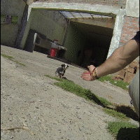 Sequence 02_4.gif