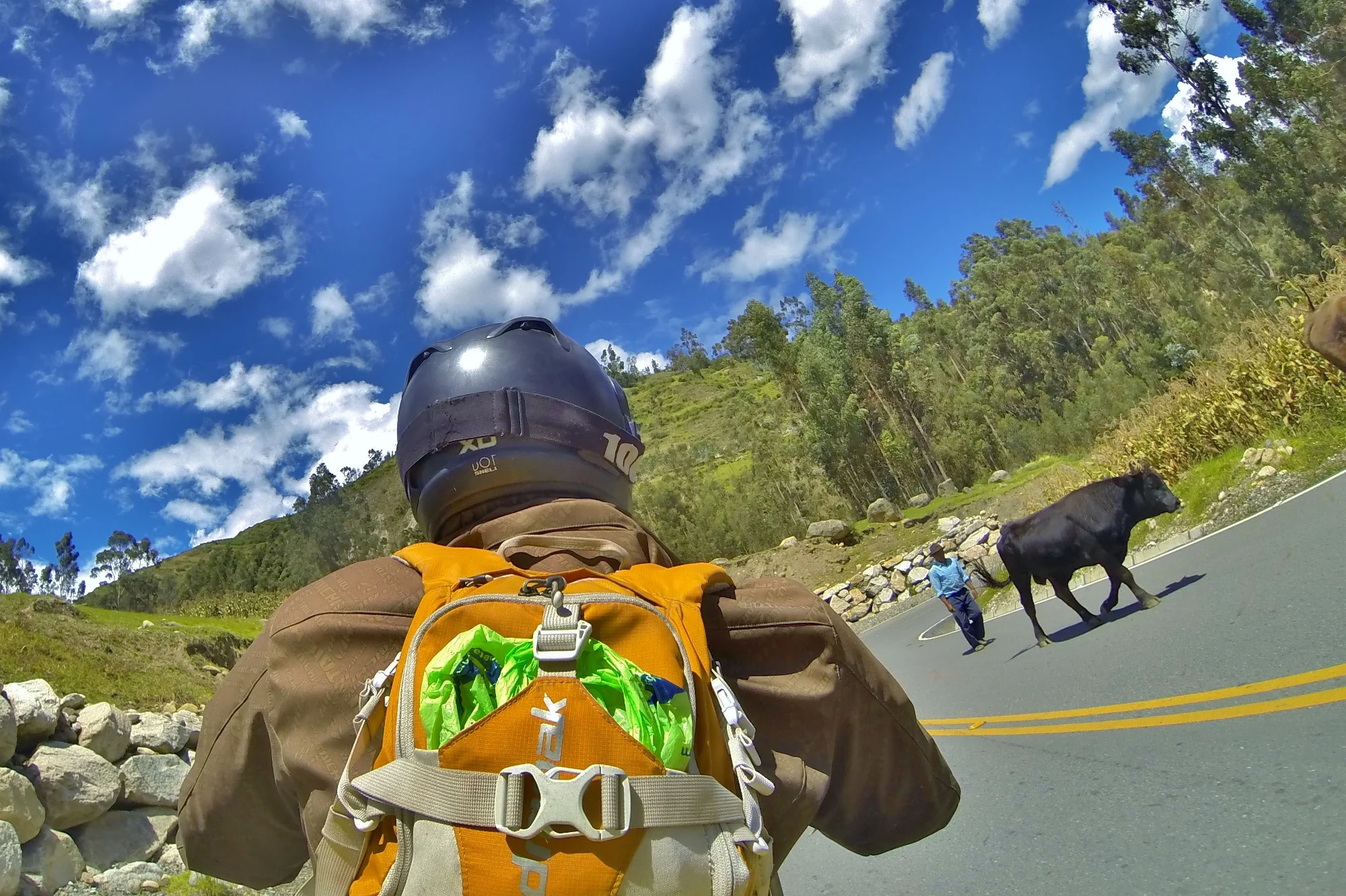Peruvian roads are always a shared institution
