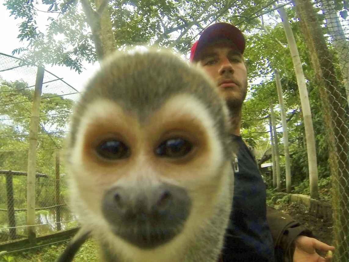Saimiri (Squirrel monkey a.k.a. Will-take-everything-out-of-your-pockets-and-eat-it monkey)
