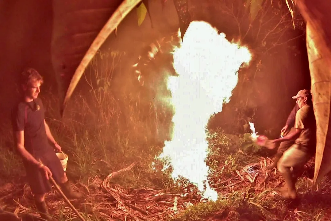 Beehive removal: overkill mode