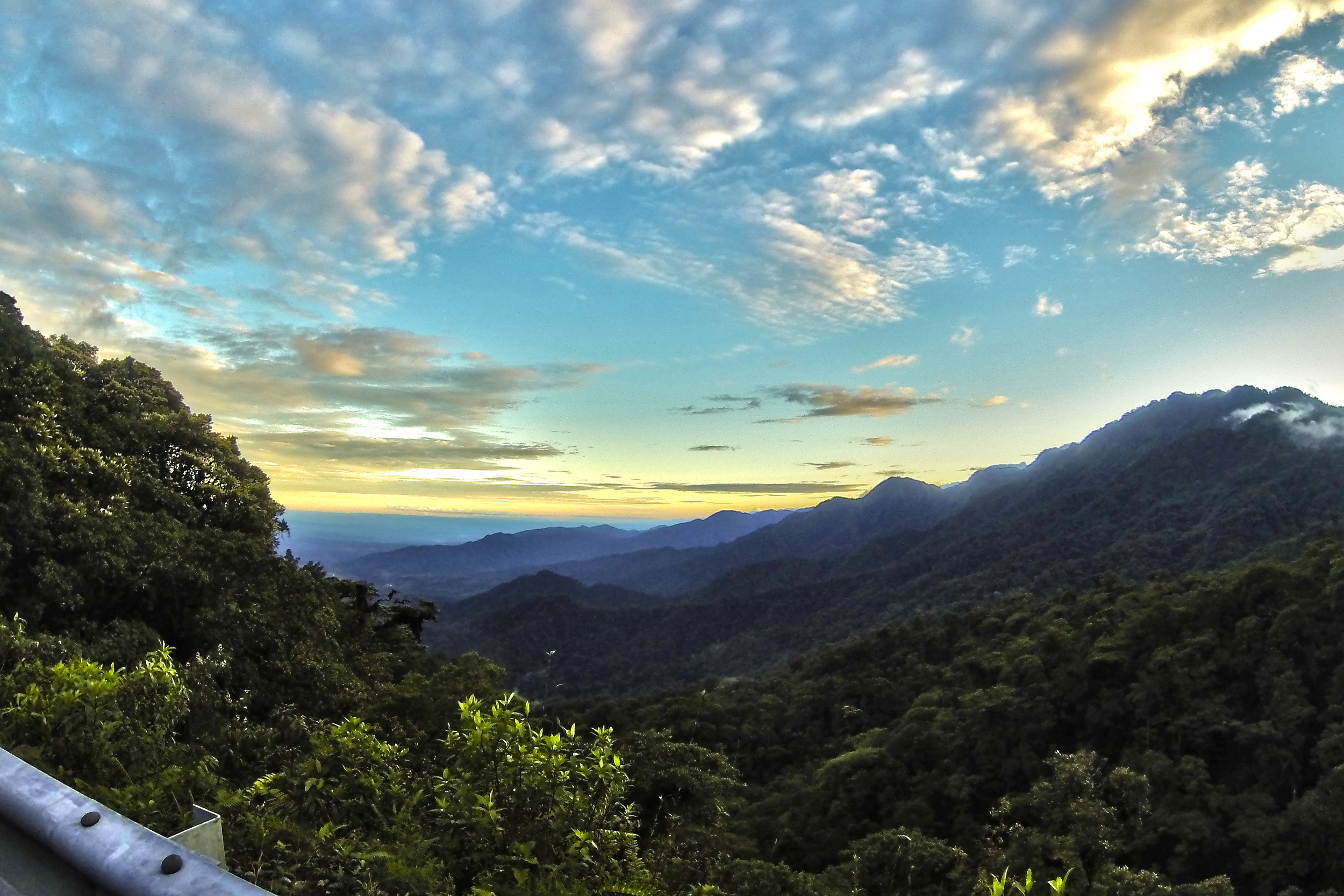 Welcome to the Amazon