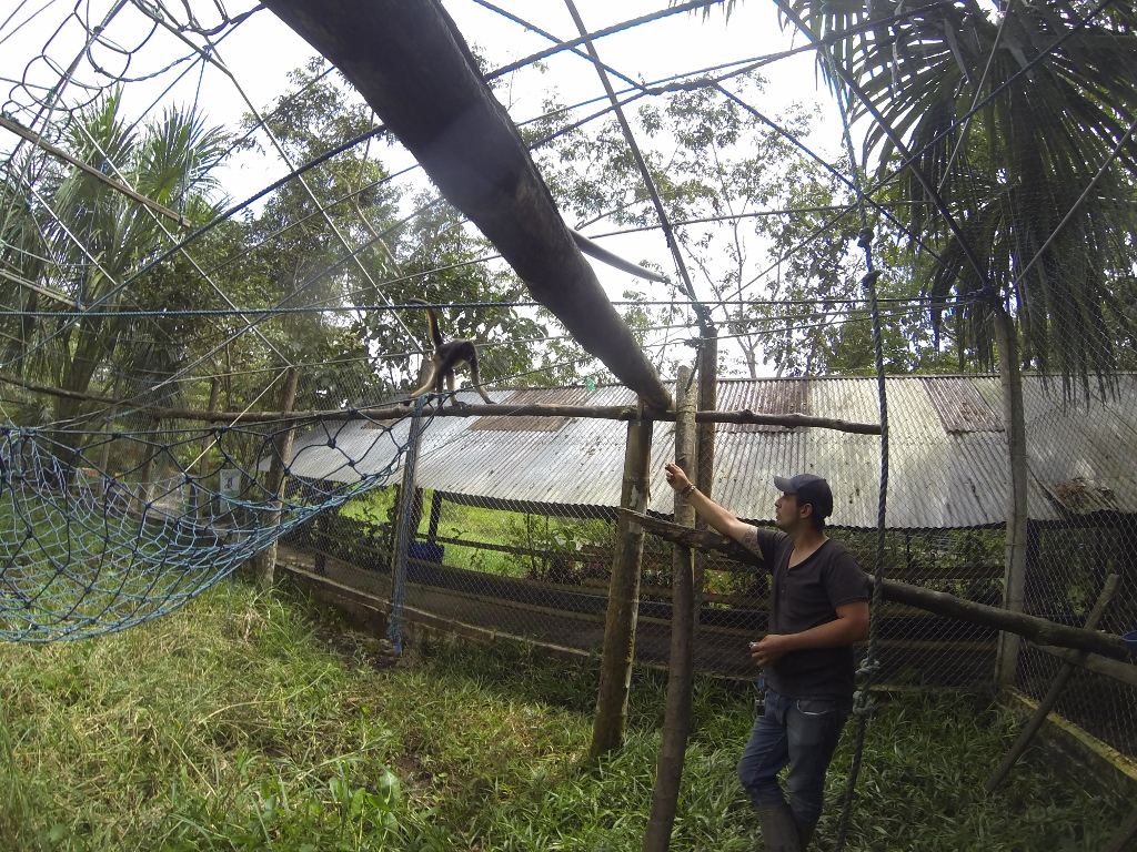  Agustín and Julieta the Spider Monkey 