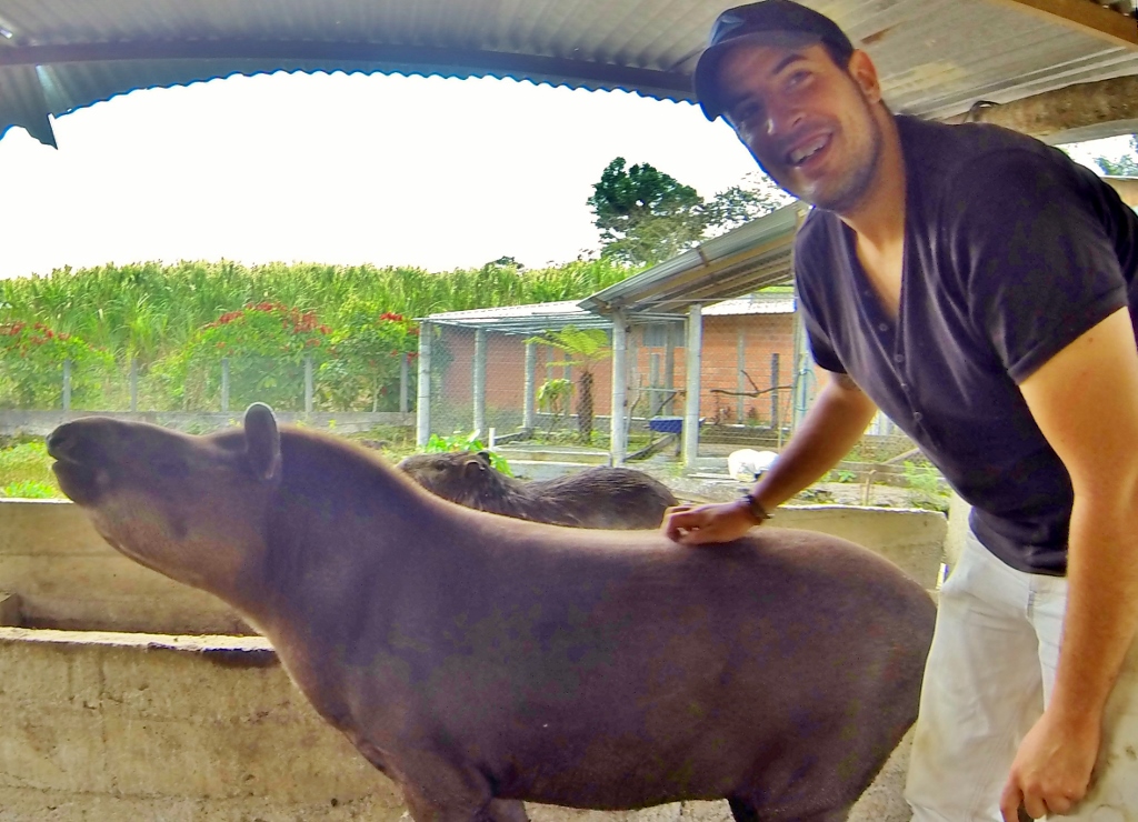  Tapir and el Tiburón 