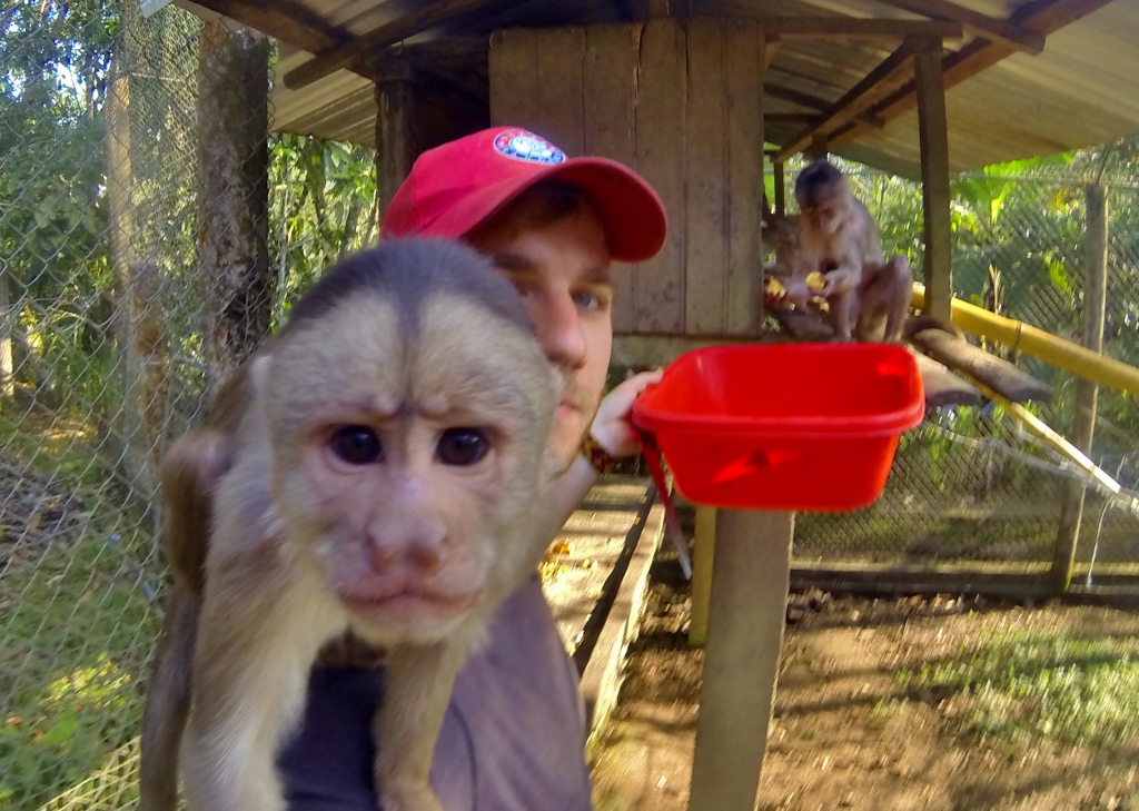  Capuchin Monkey wants a pic 