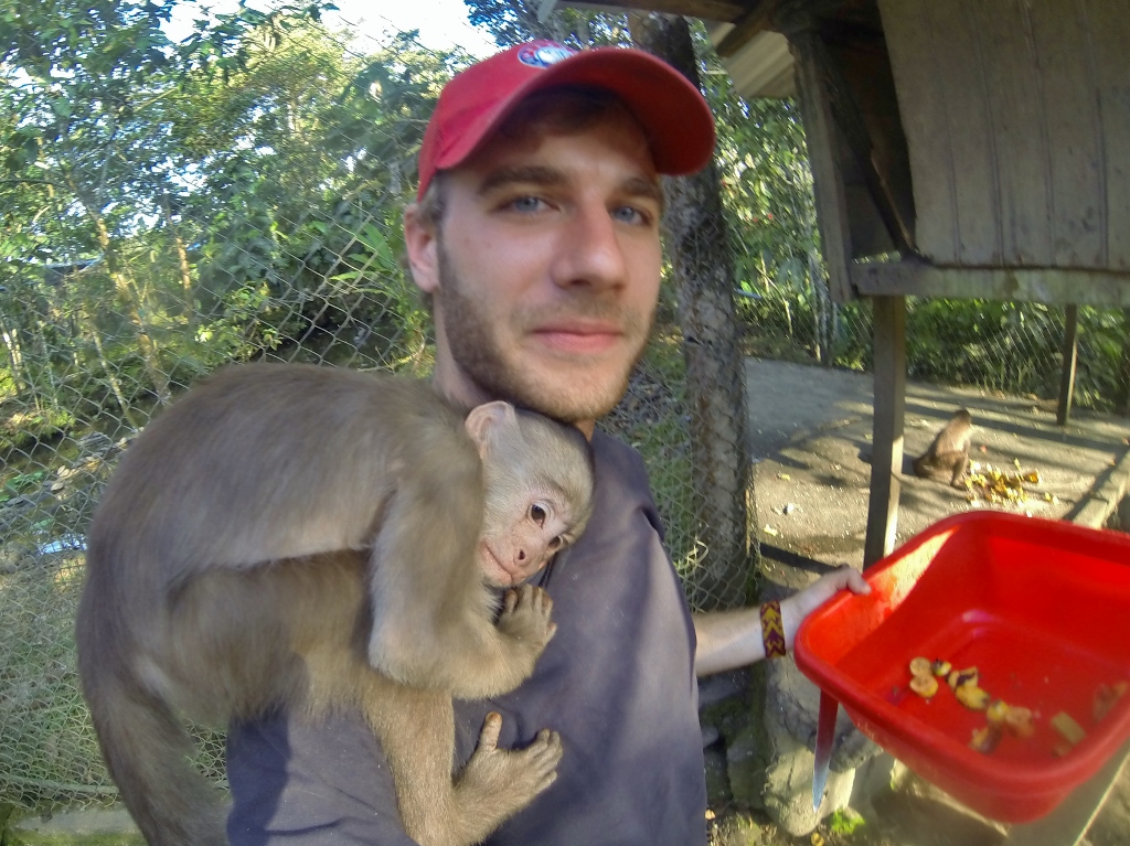  Capuchin Monkey bro 