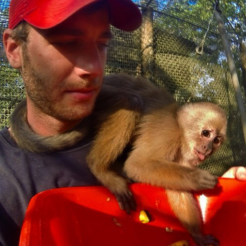 #mcm (that is, #monkey crush Monday): This time last year I was lucky enough to get to volunteer with rescued animals like Ricky the #CapuchinMonkey at Zoorefugio Tarqui in the Ecuadorian Amazon.  Head to the URL in the comments below to find out how