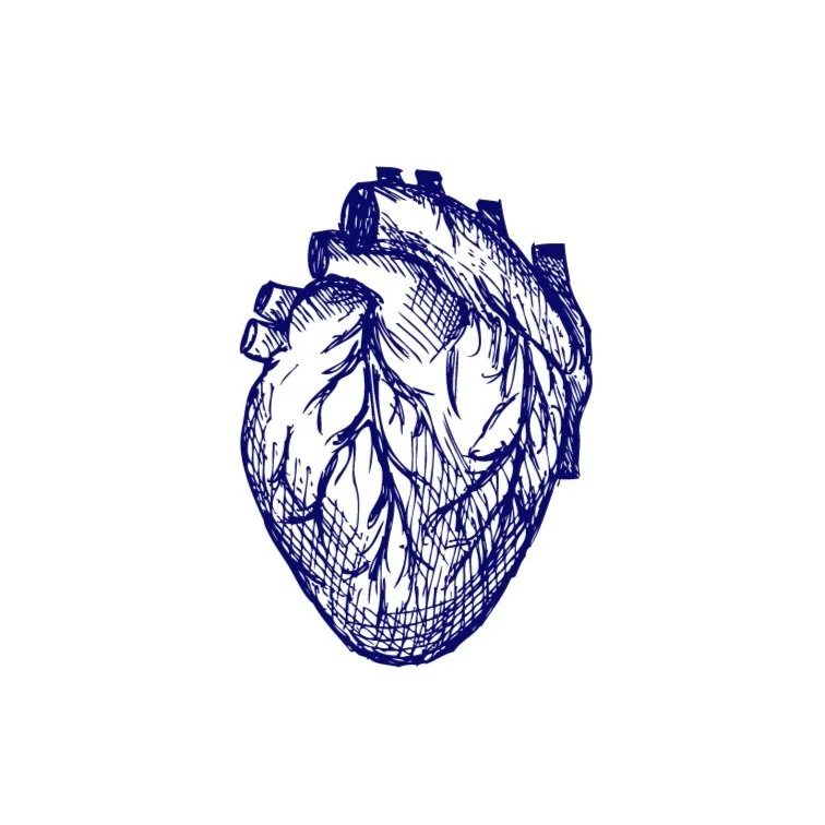 Center+for+Health+Justice+Icon-01.jpg