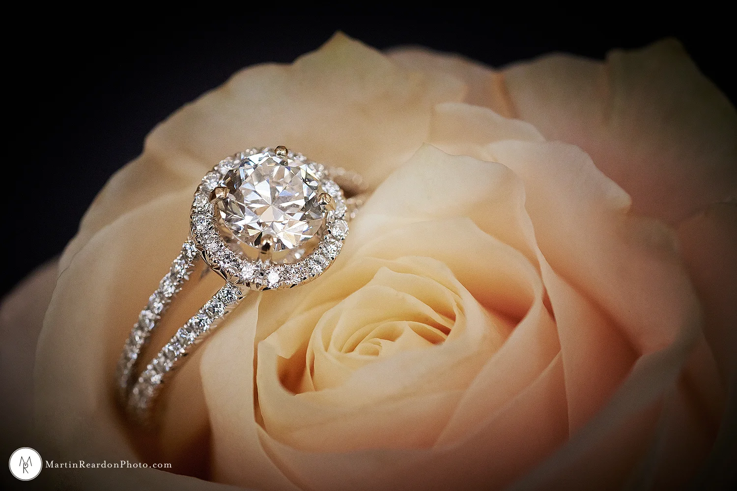 New Jersey Surprise Engagement Photographer 15.jpg