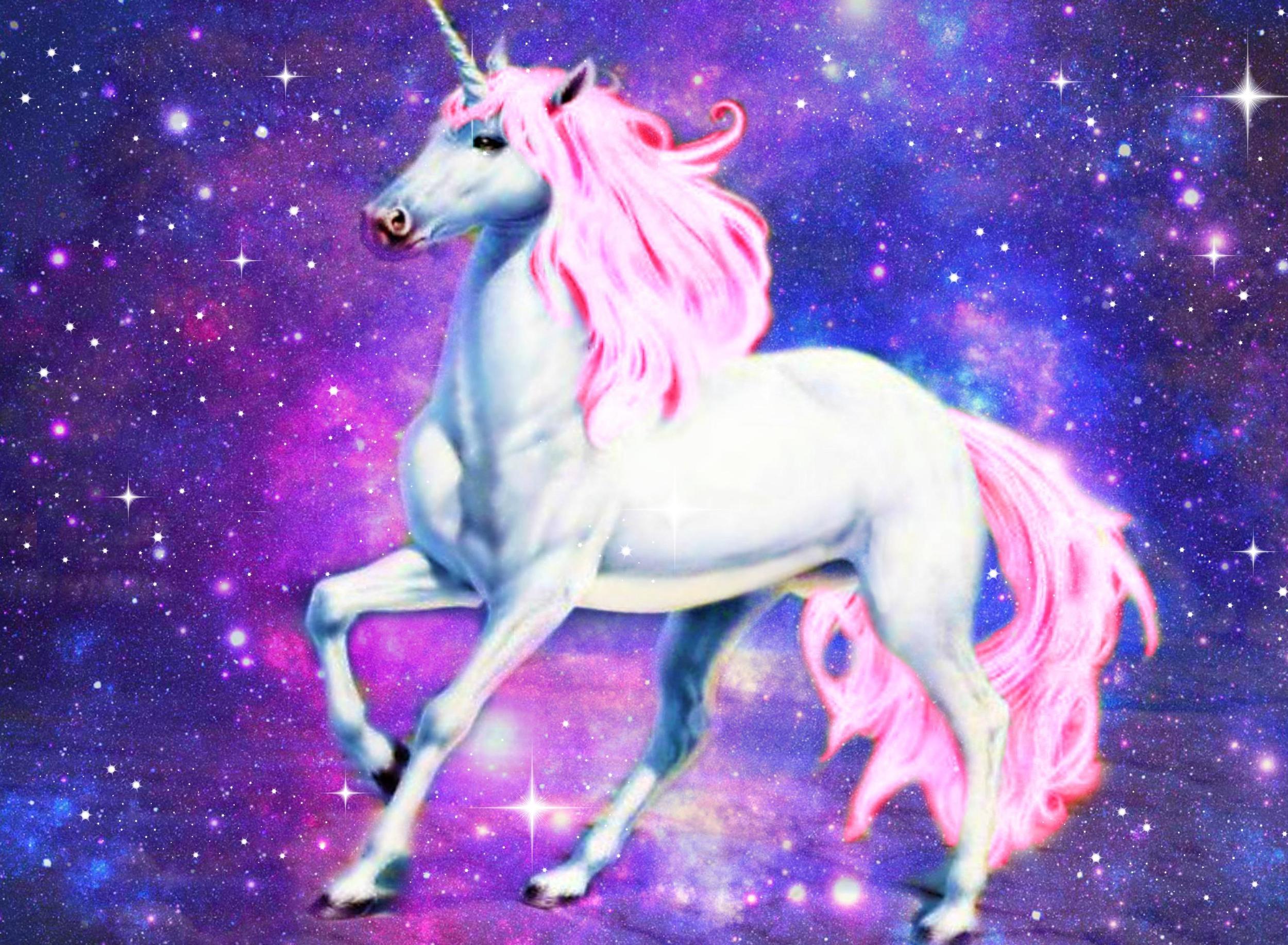 Beautiful Unicorn