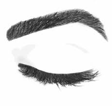 Side. Eye. Brow.