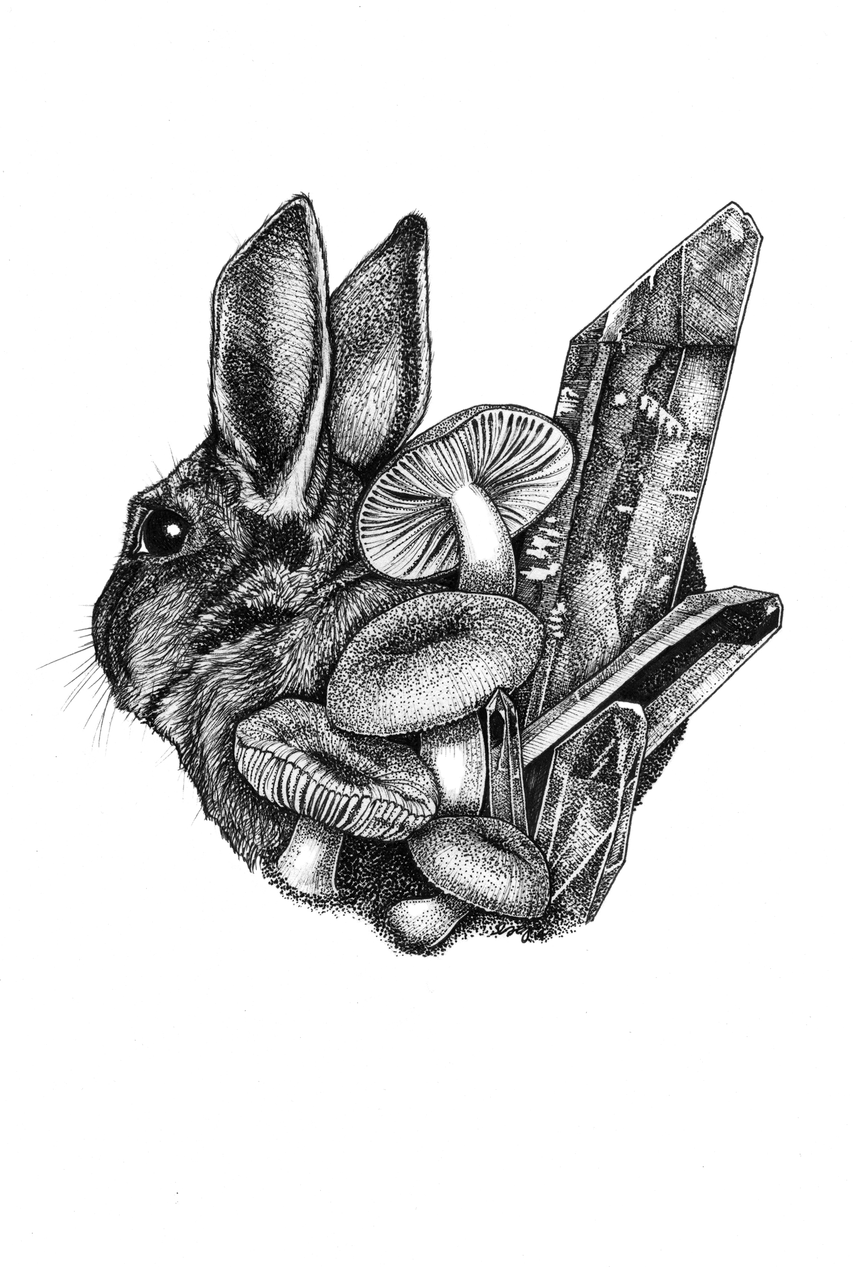 Animal, Vegetable, Mineral: Multipliers