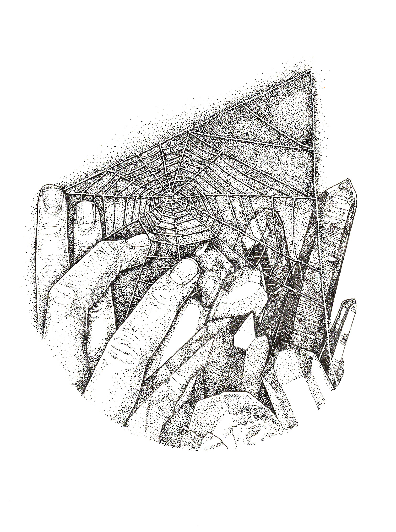 Animal, Vegetable, Mineral: Dactyl