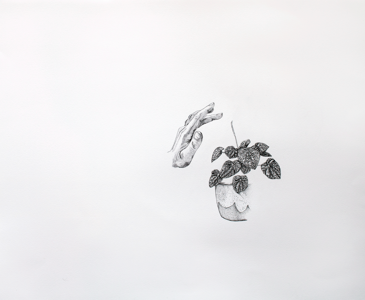 Animal, Vegetable, Mineral: Subtle Touch