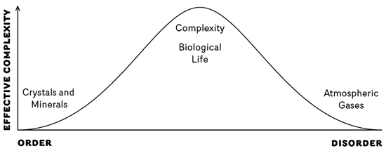Should be re-consider total chaos in favour of directed chaos ? Questions, questions :)