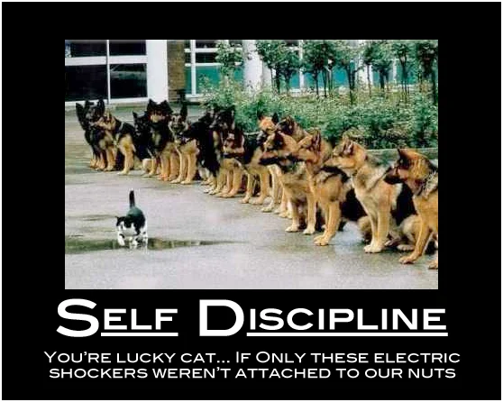 self-discipline-funny.jpg
