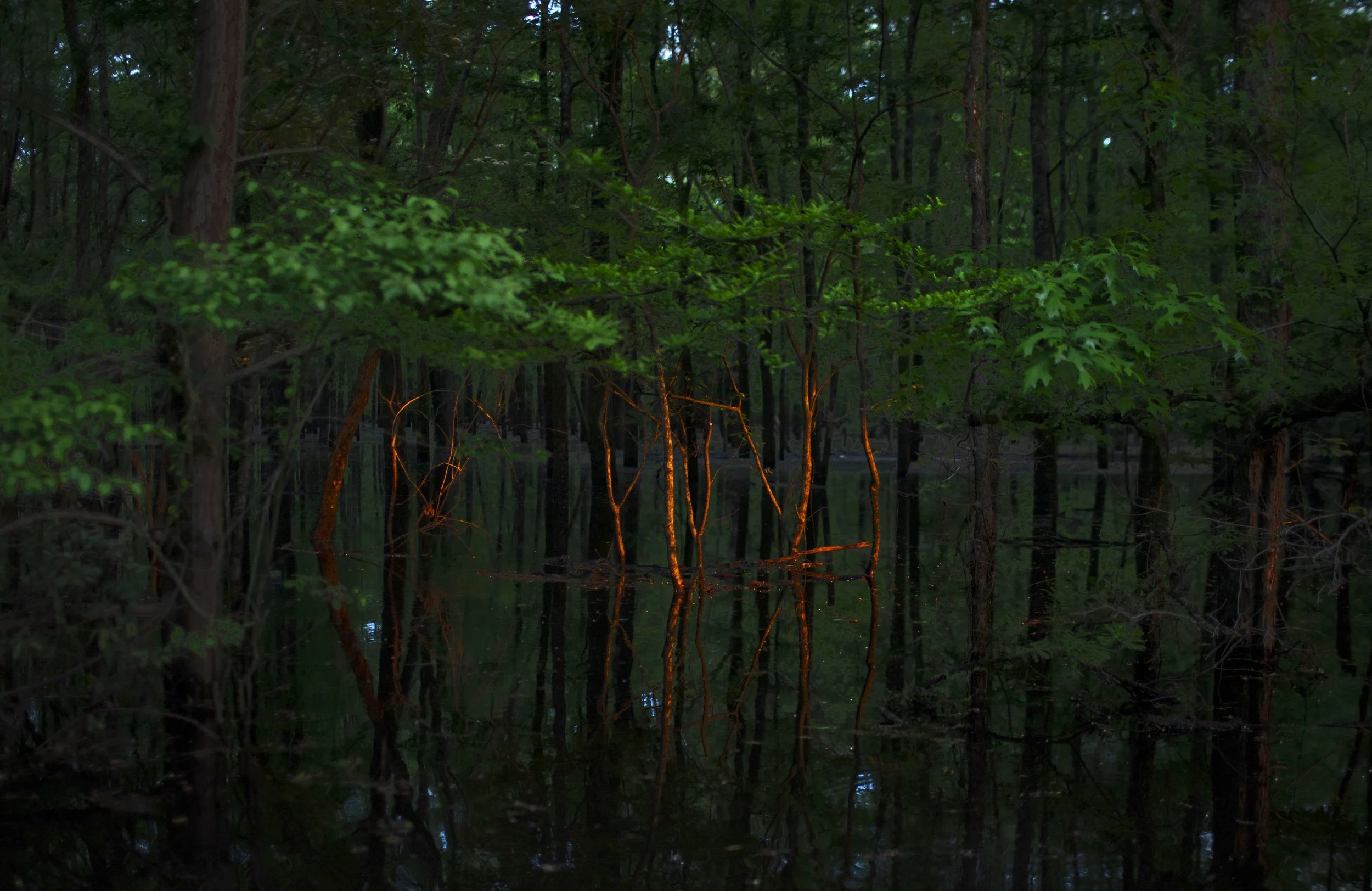 Annette Benton35242.JPG