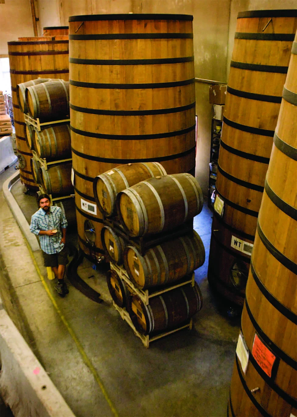 Eric Salazar in the forest of foeders at New Belgium.