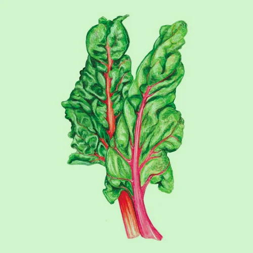 chard.jpg