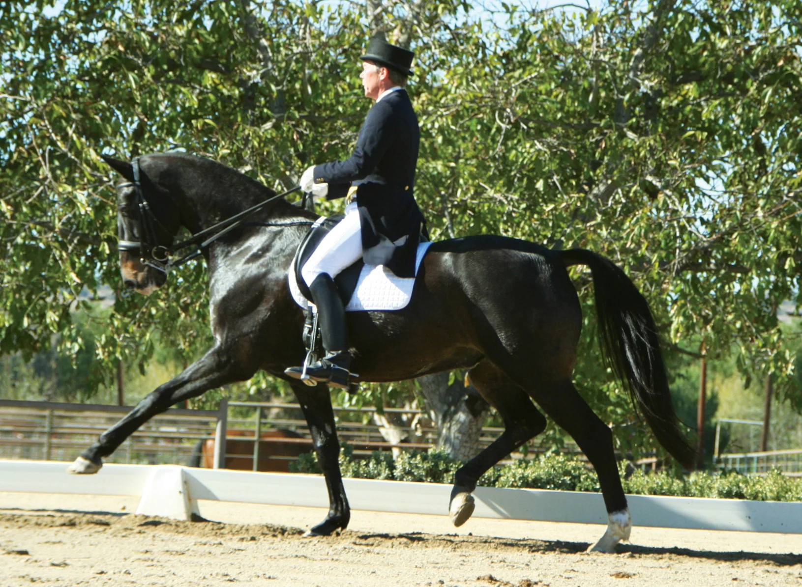 MichaelOrson#2r1 - Version 8.jpg