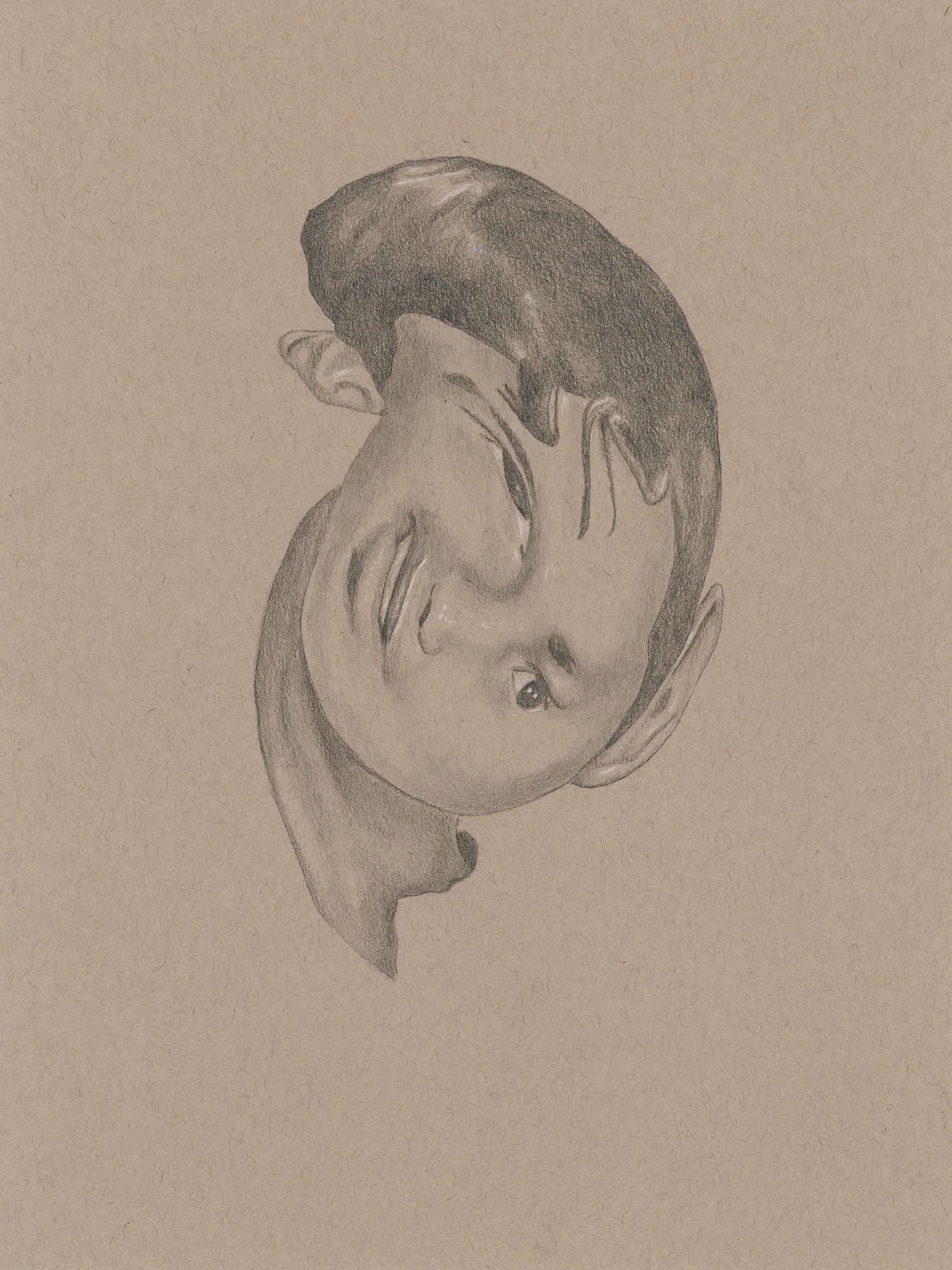 Head.jpg