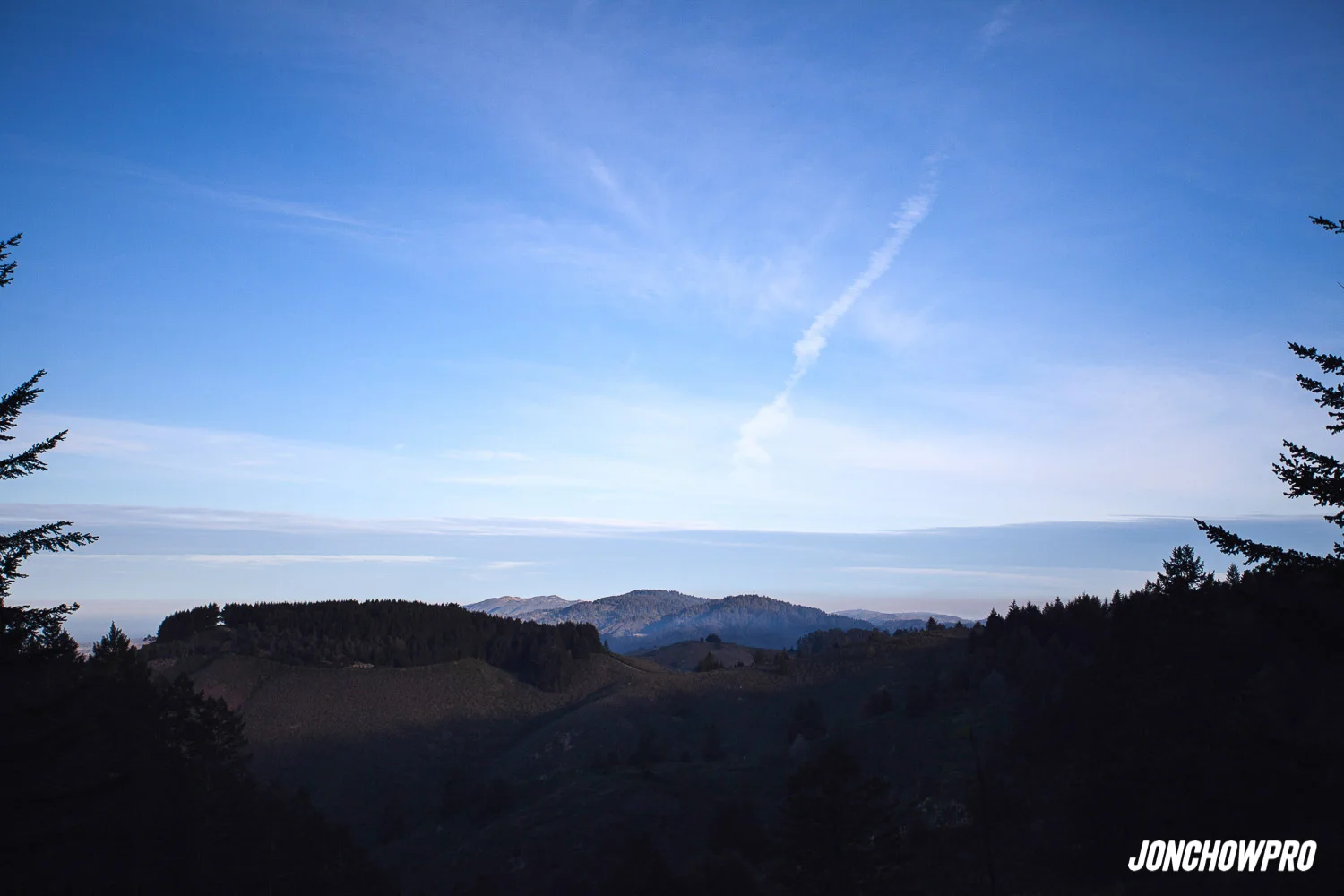 OUTDOORS / Another Hike In Redwoods Open Space