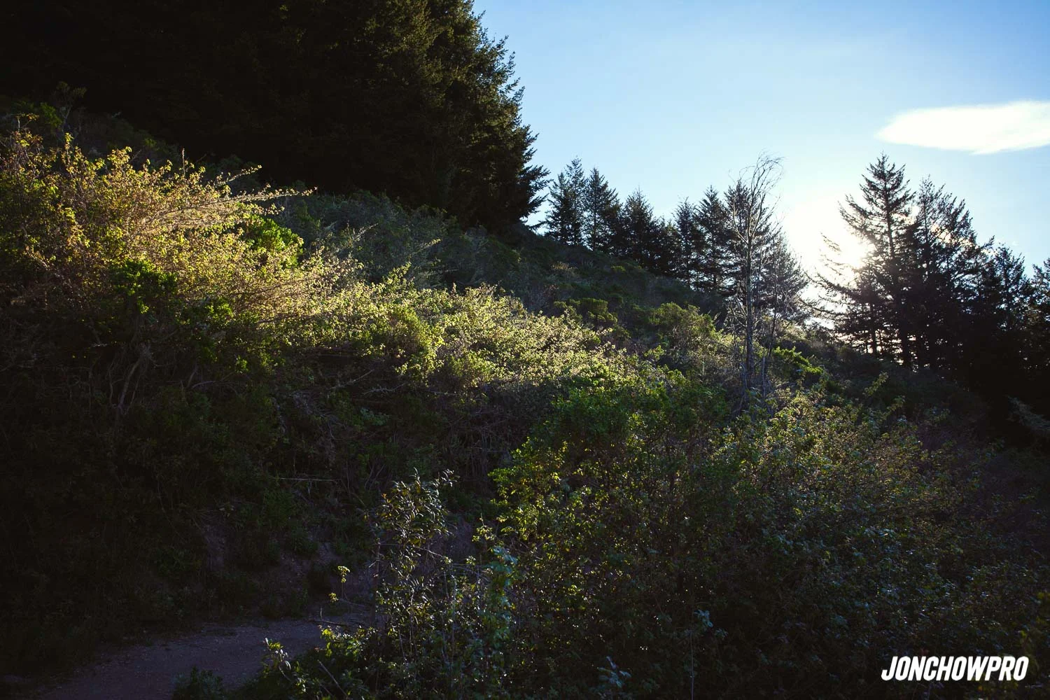 JUST SOME MORE HIKING