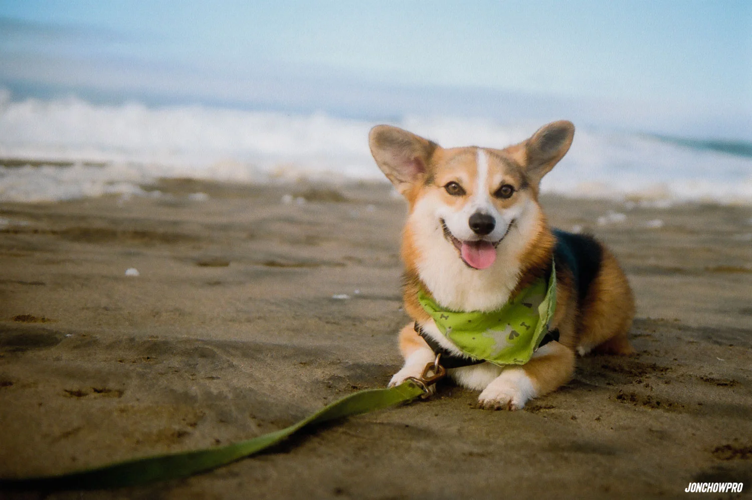 Film / Hello There!