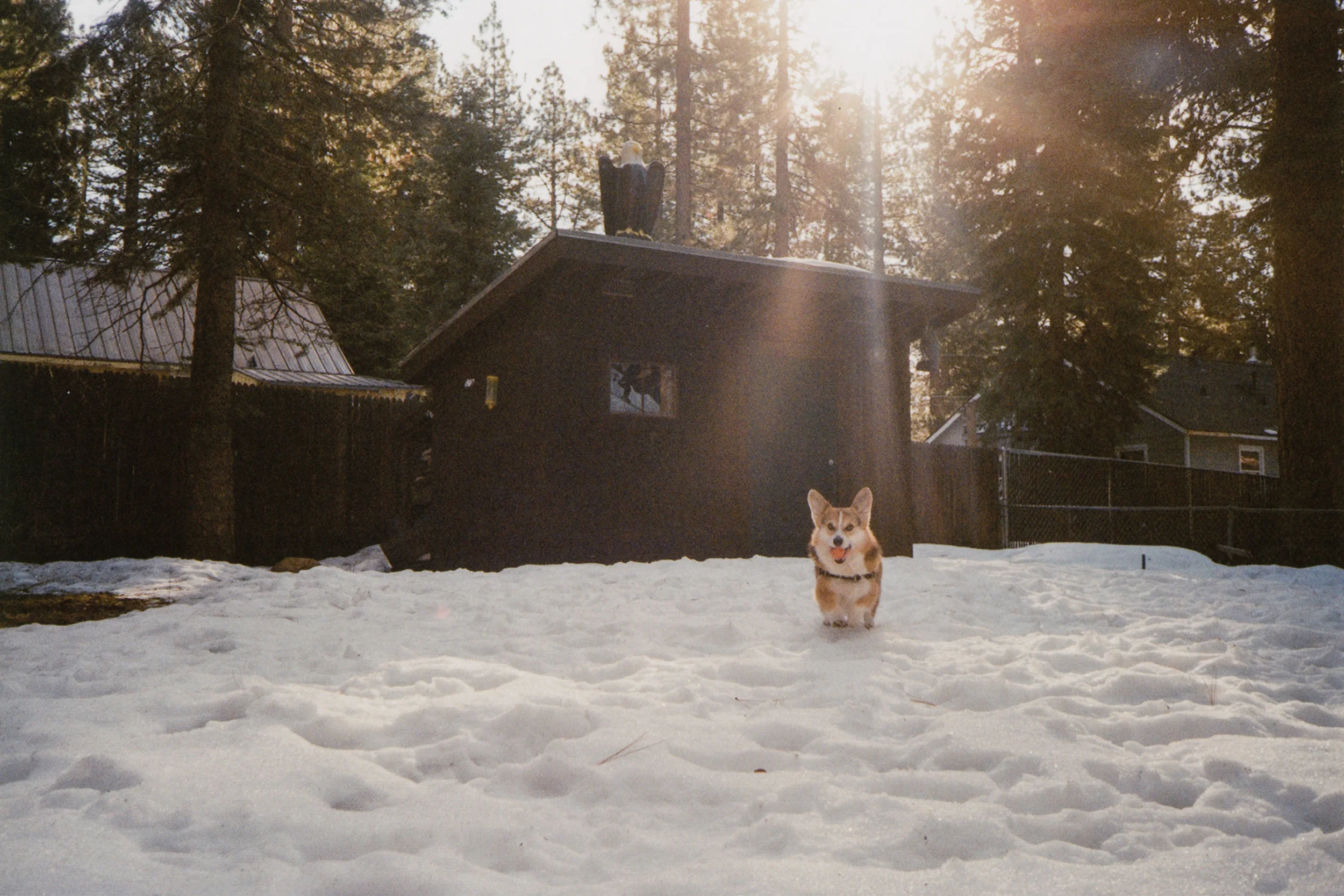 FILM / Just Playing Around