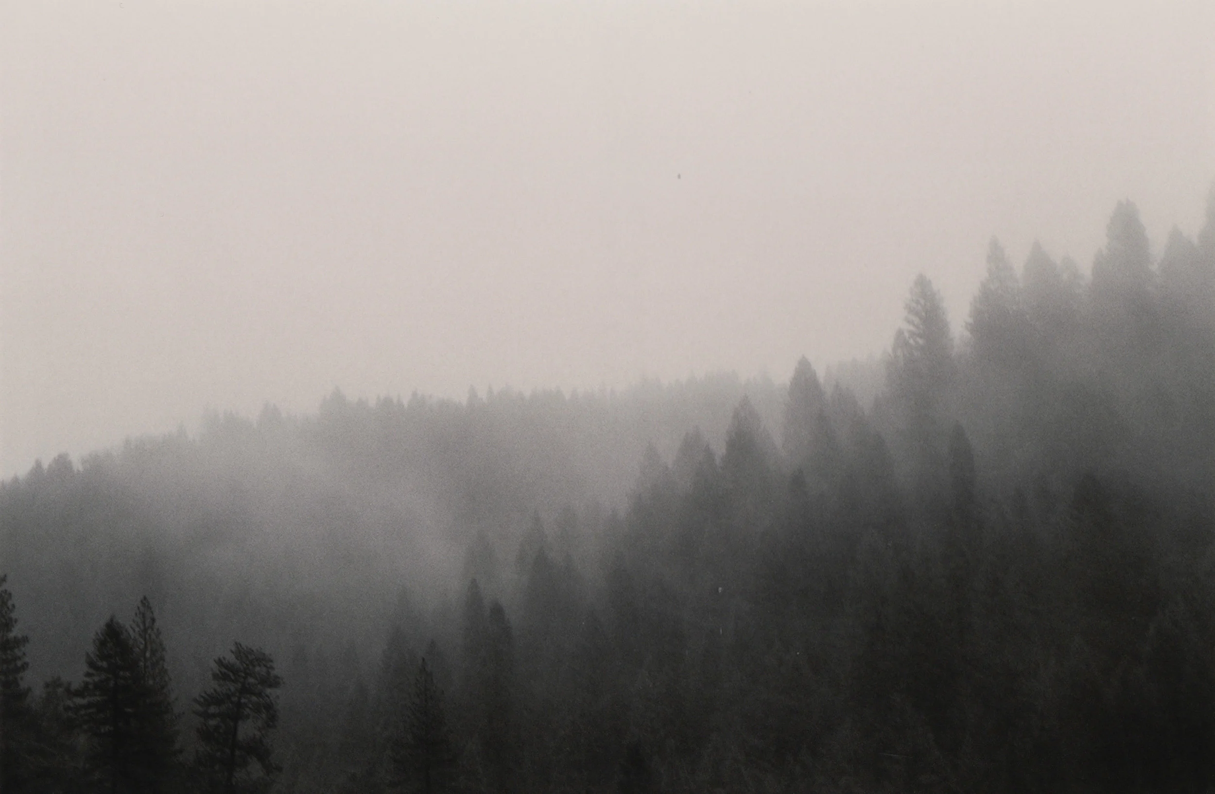 A Wet Tahoe Trip