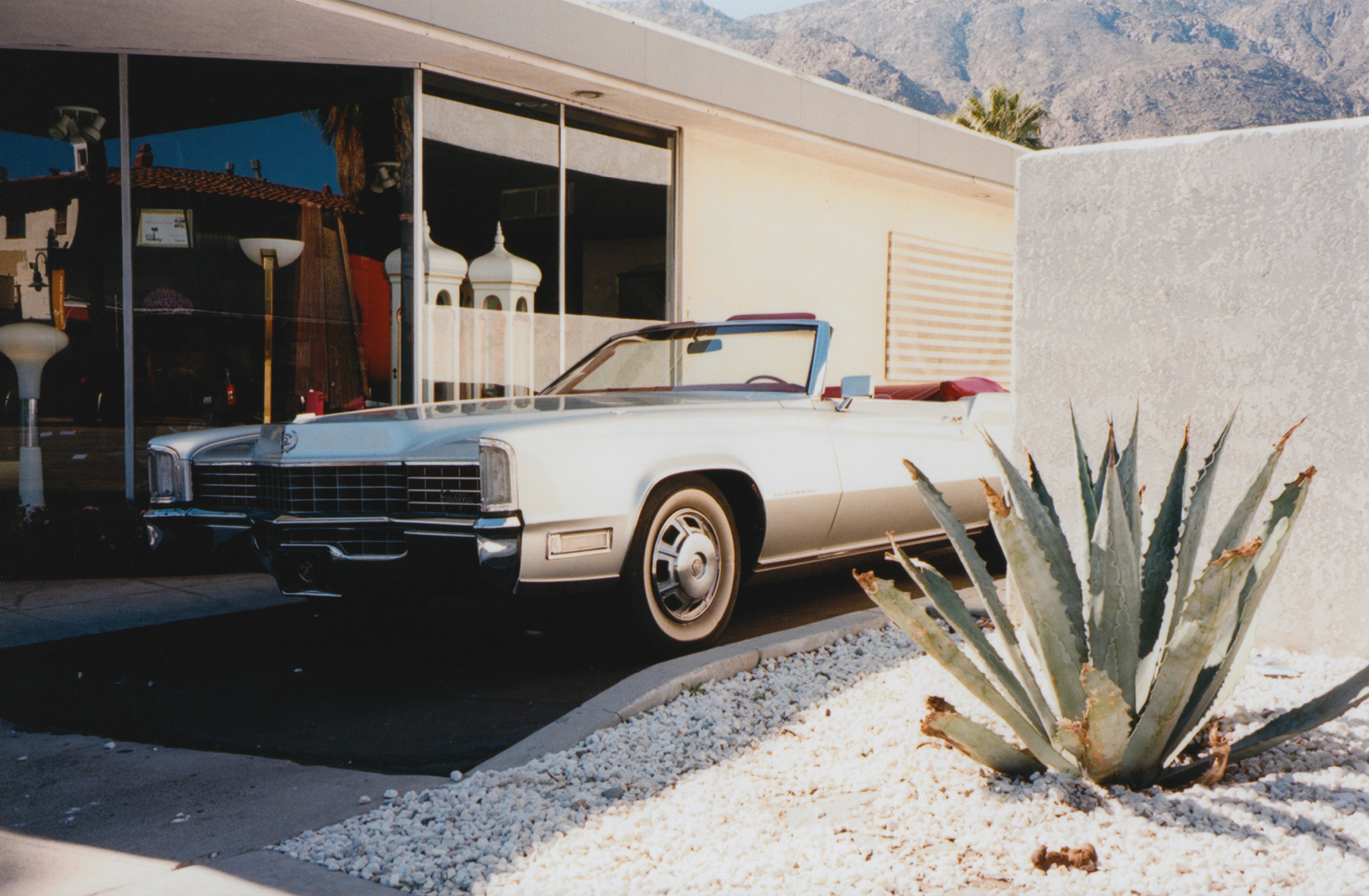 Film / Palm Springs