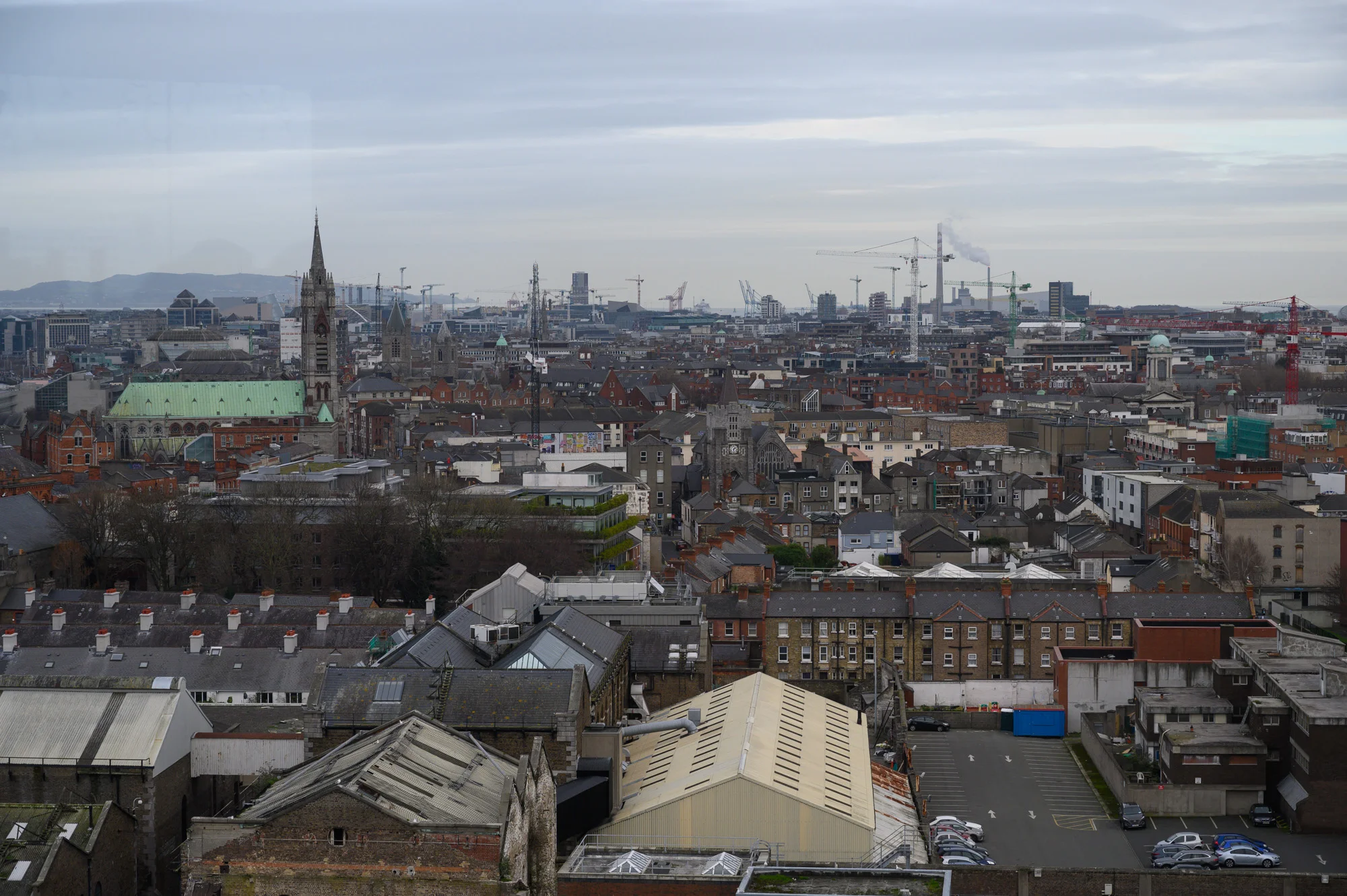 DSC_1950.jpg