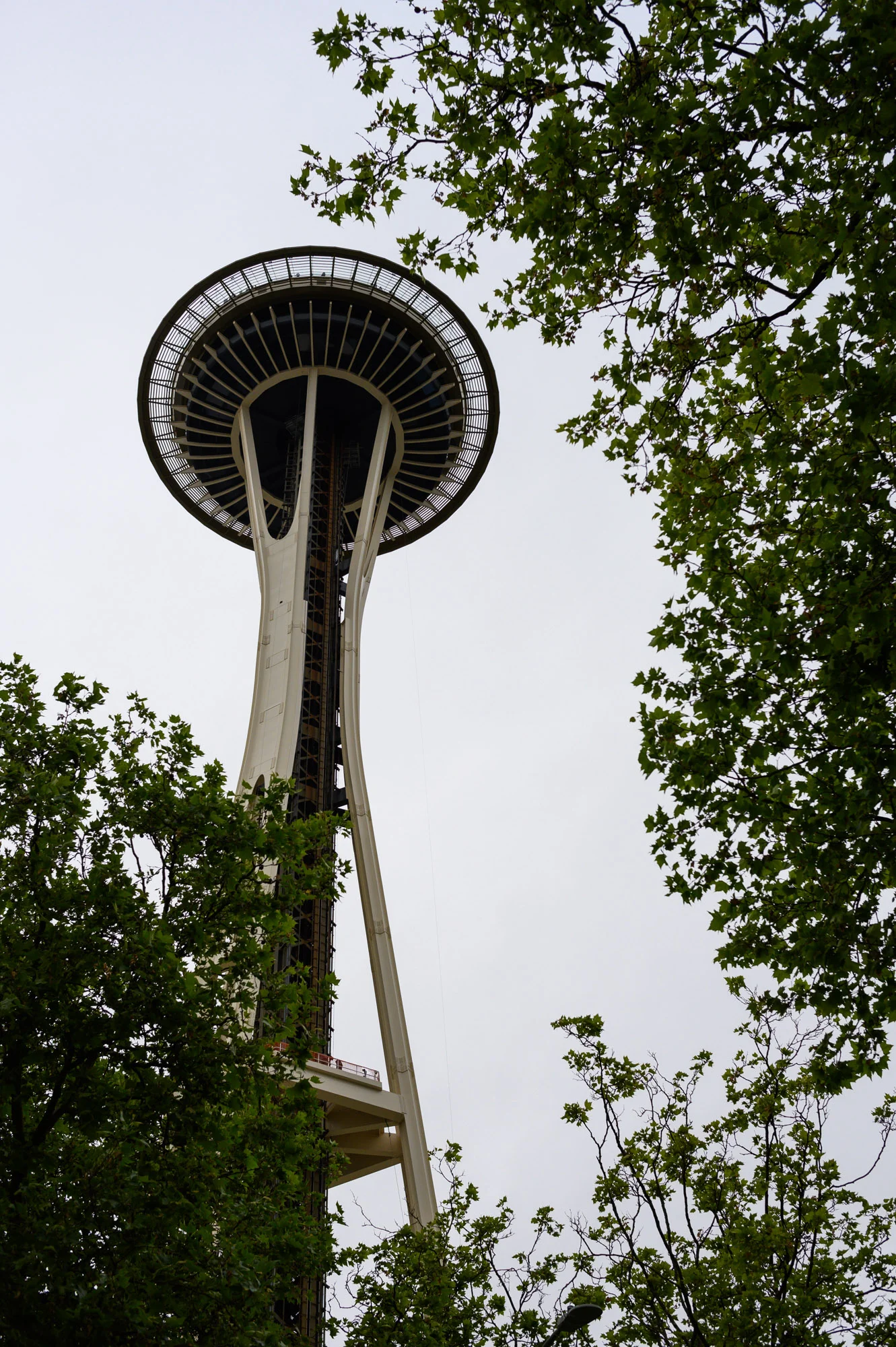 DSC_2506.jpg