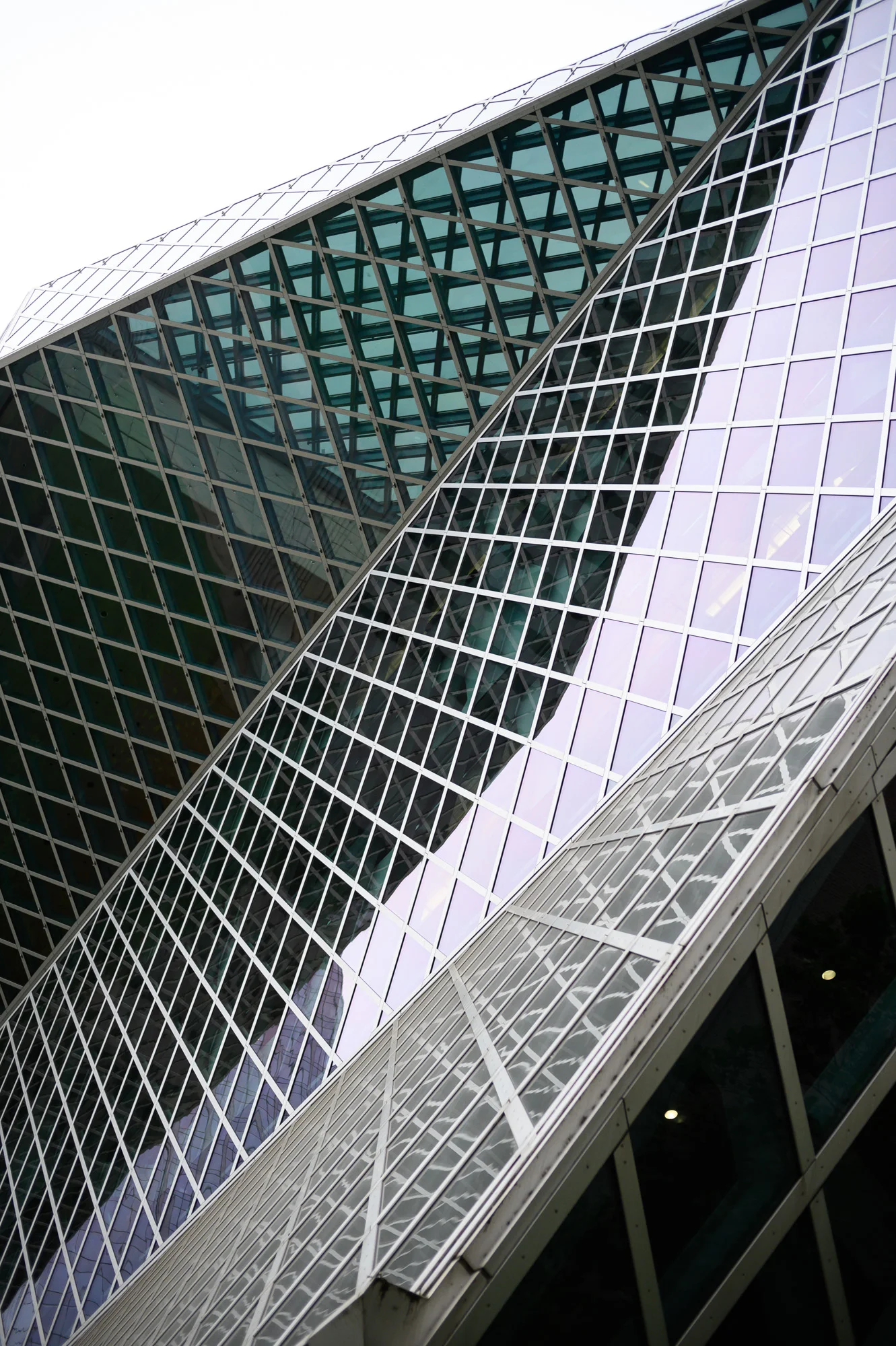 DSC_2521.jpg