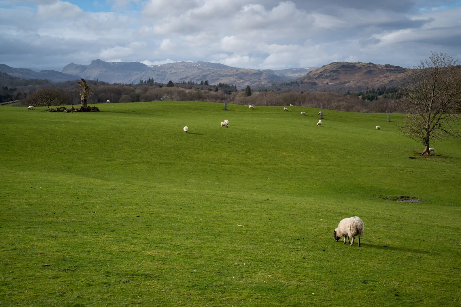 2020 UK Trip Pt 4 - Lake District