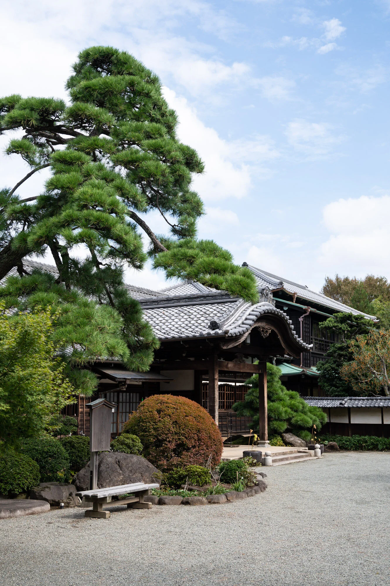 2019 Japan/Korea - Tokyo 3