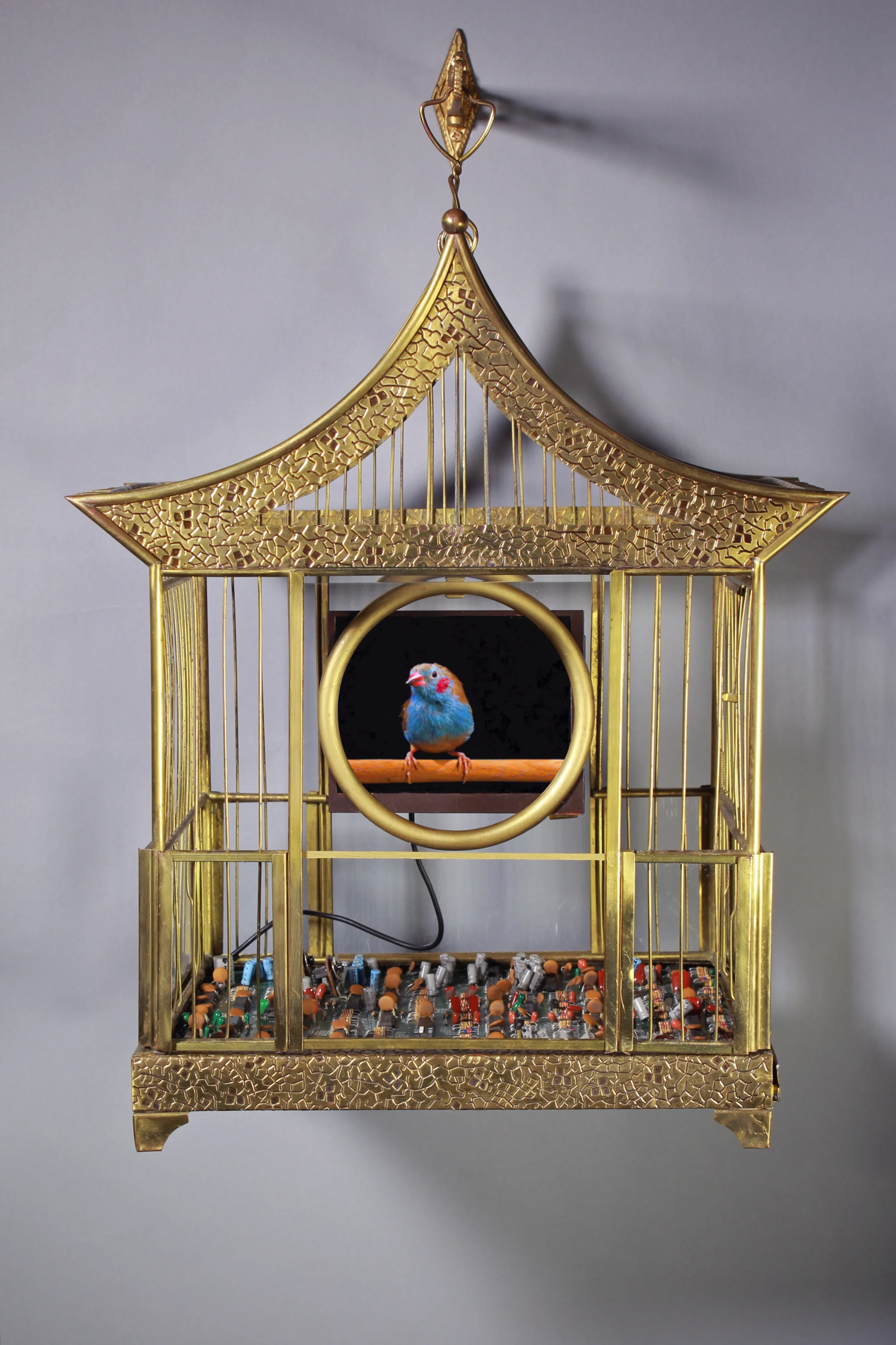 Pagoda2012_TroyAbbott_FullRes.jpg