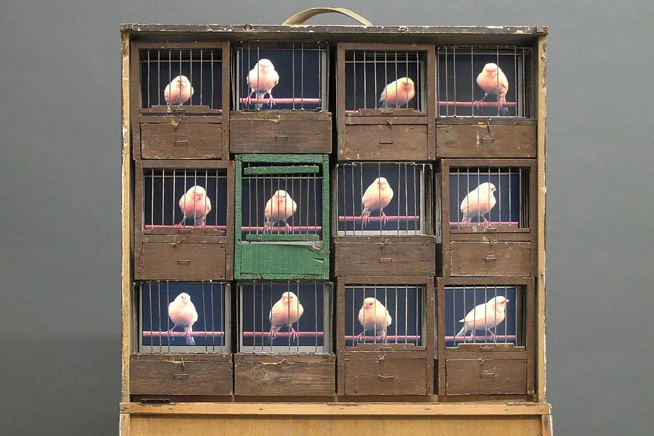 SongBox