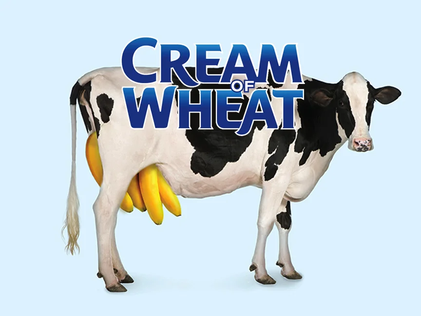 COW Icon.jpg