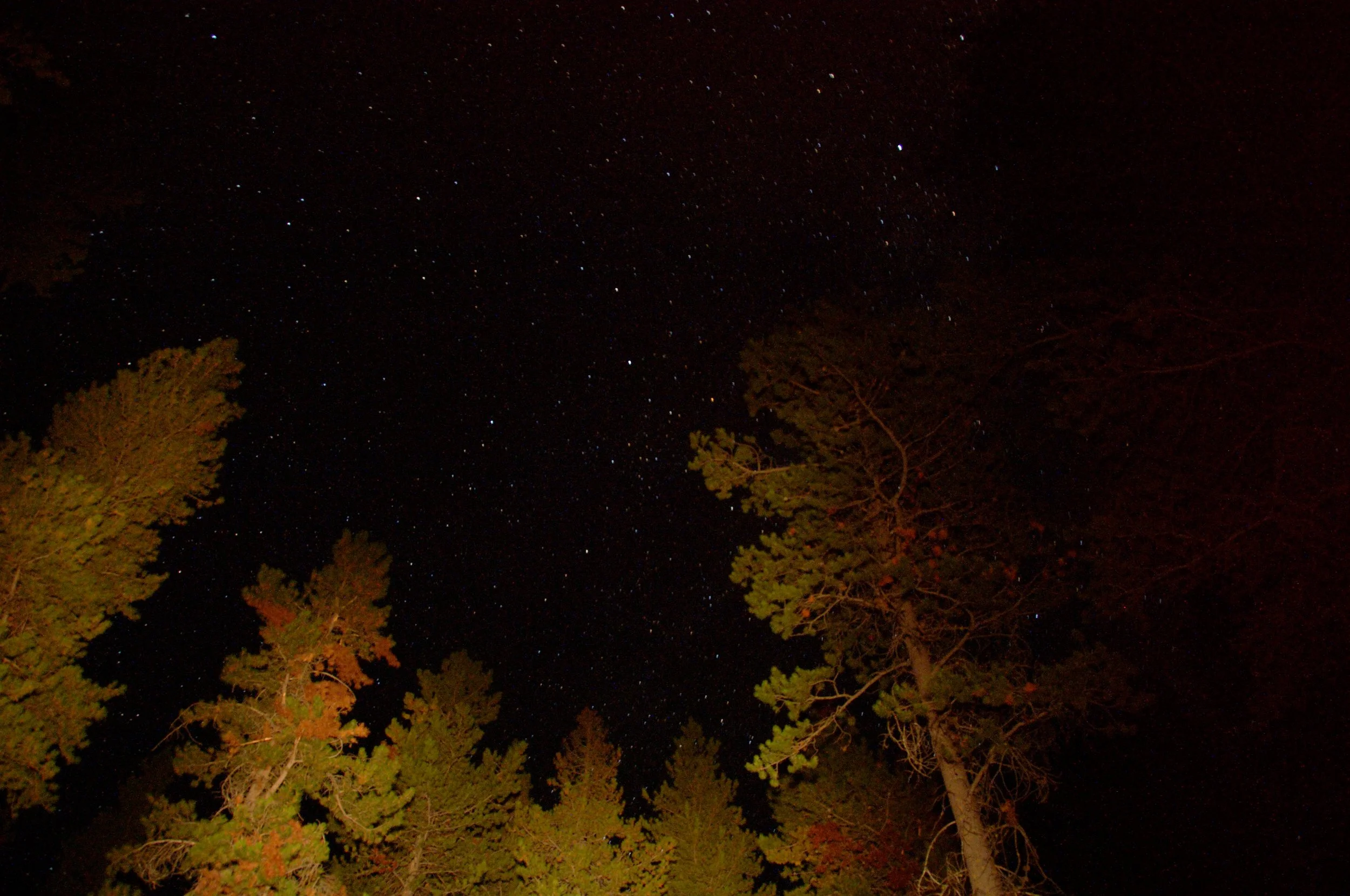 Starry Night-1.jpg