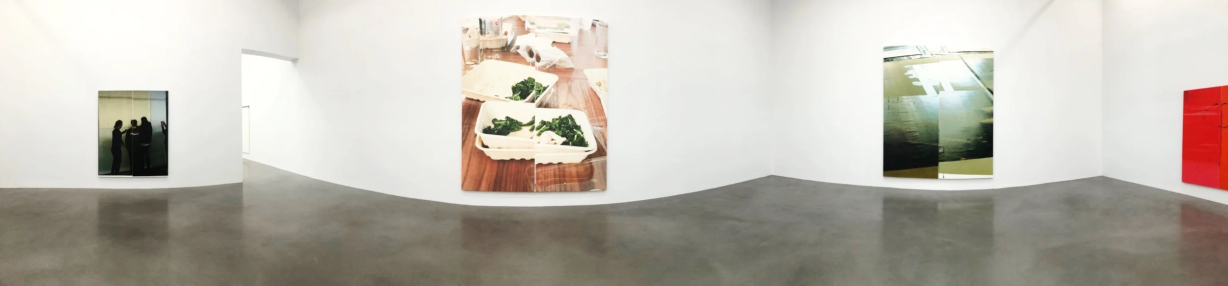 Installation image, Wade Guyton, Patagonia , Petzel Gallery, New York Photo Credit: Cincala Art Advisory