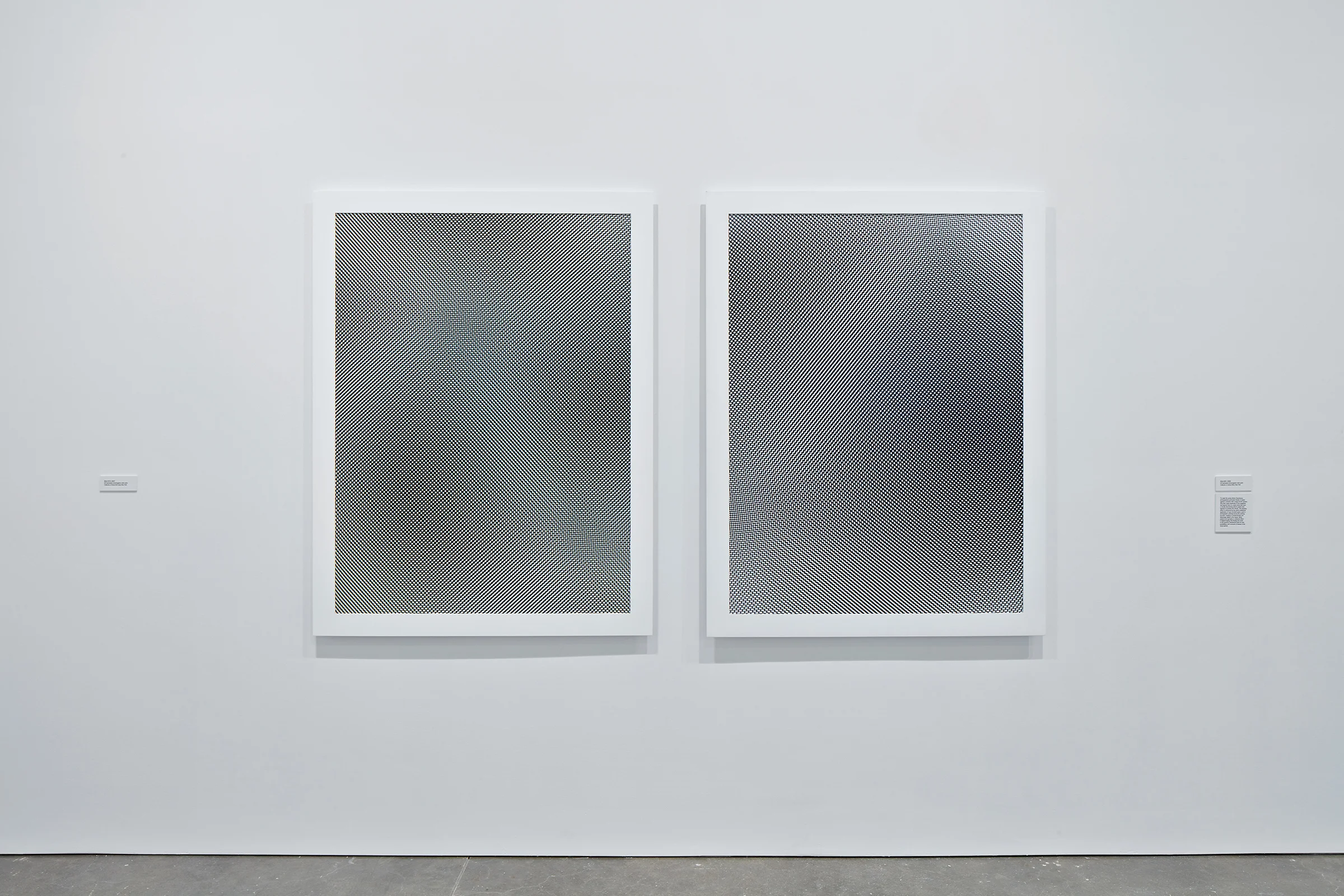 Moiré, 2009. Exhibition: Liz Deschenes, ICA Boston (June 29 - October 16, 2016). Photos courtesy the artist and Miguel Abreau Gallery, New York.
