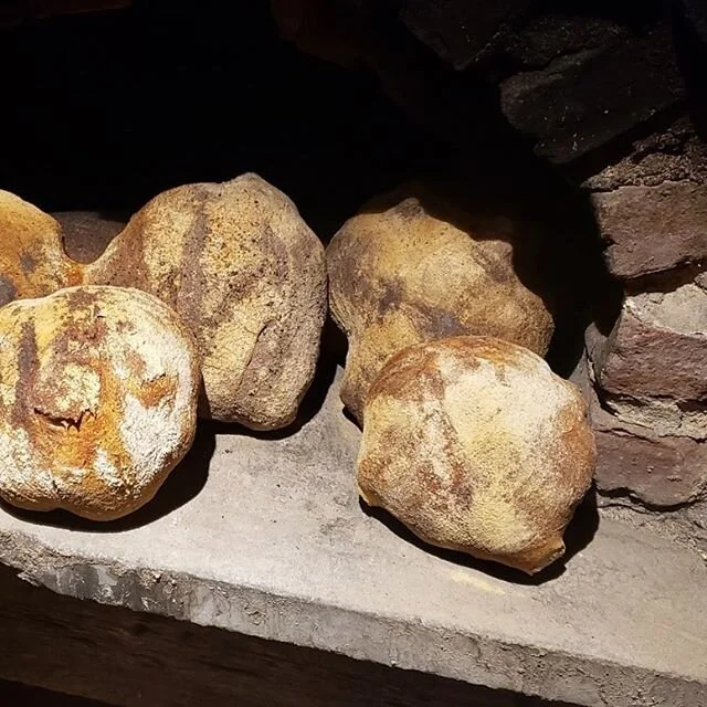 🔥 🍞  #Wood fired oven builder#bread