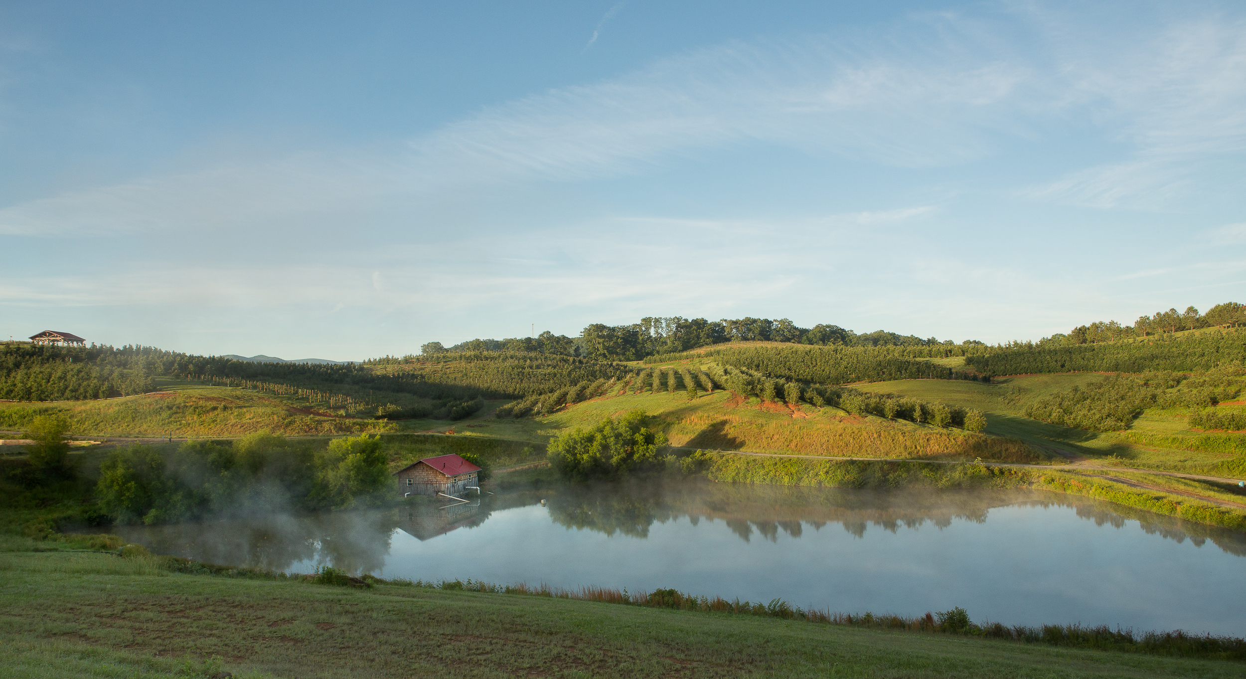 Orchard at Sunrise-Edit.jpg