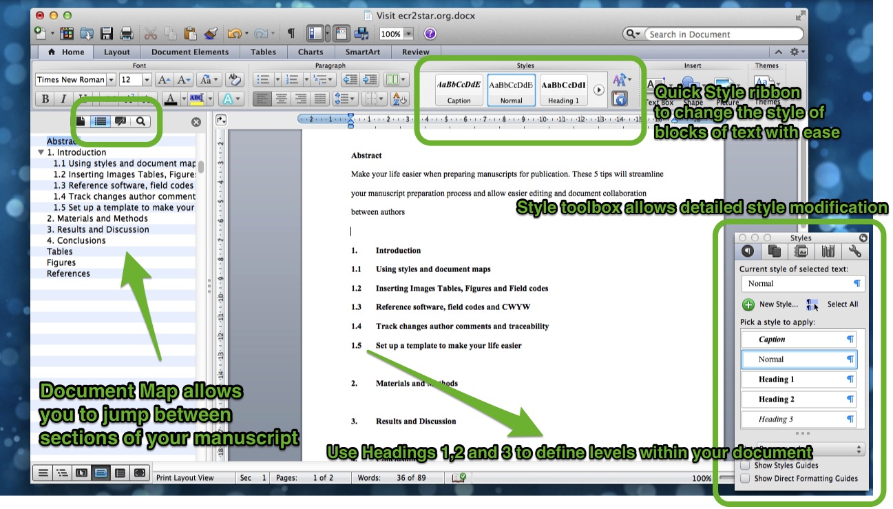 Using Styles in MS Word