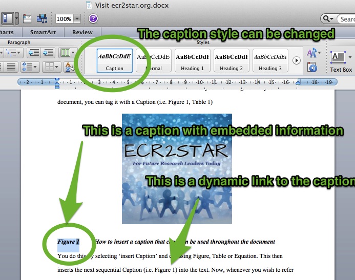 Captions &amp; Figures in MS Word