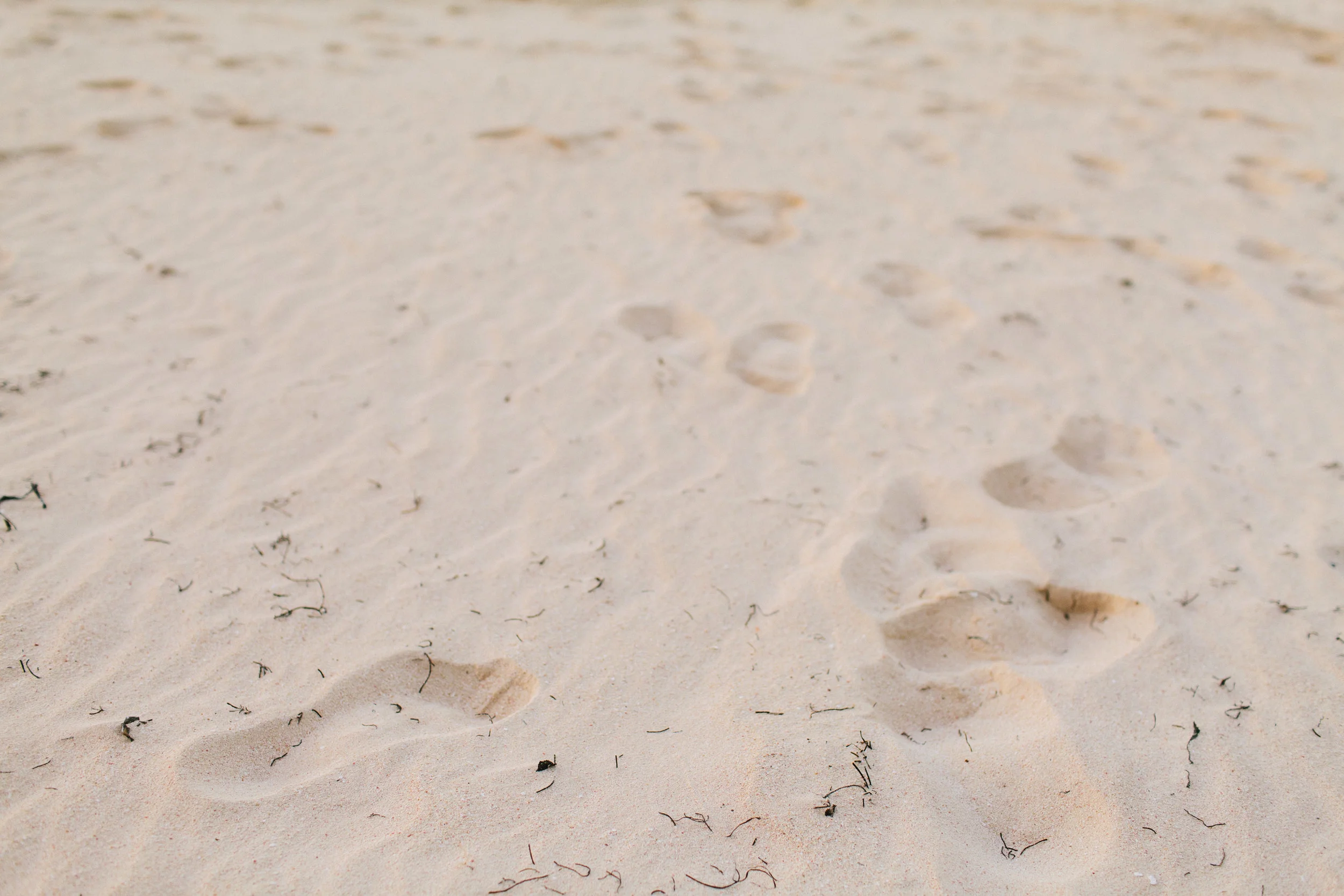 michael-rousseau-photography-dominican-republic-destination-wedding-cara-jason-colonial-majestic-dominican-republic100.jpg