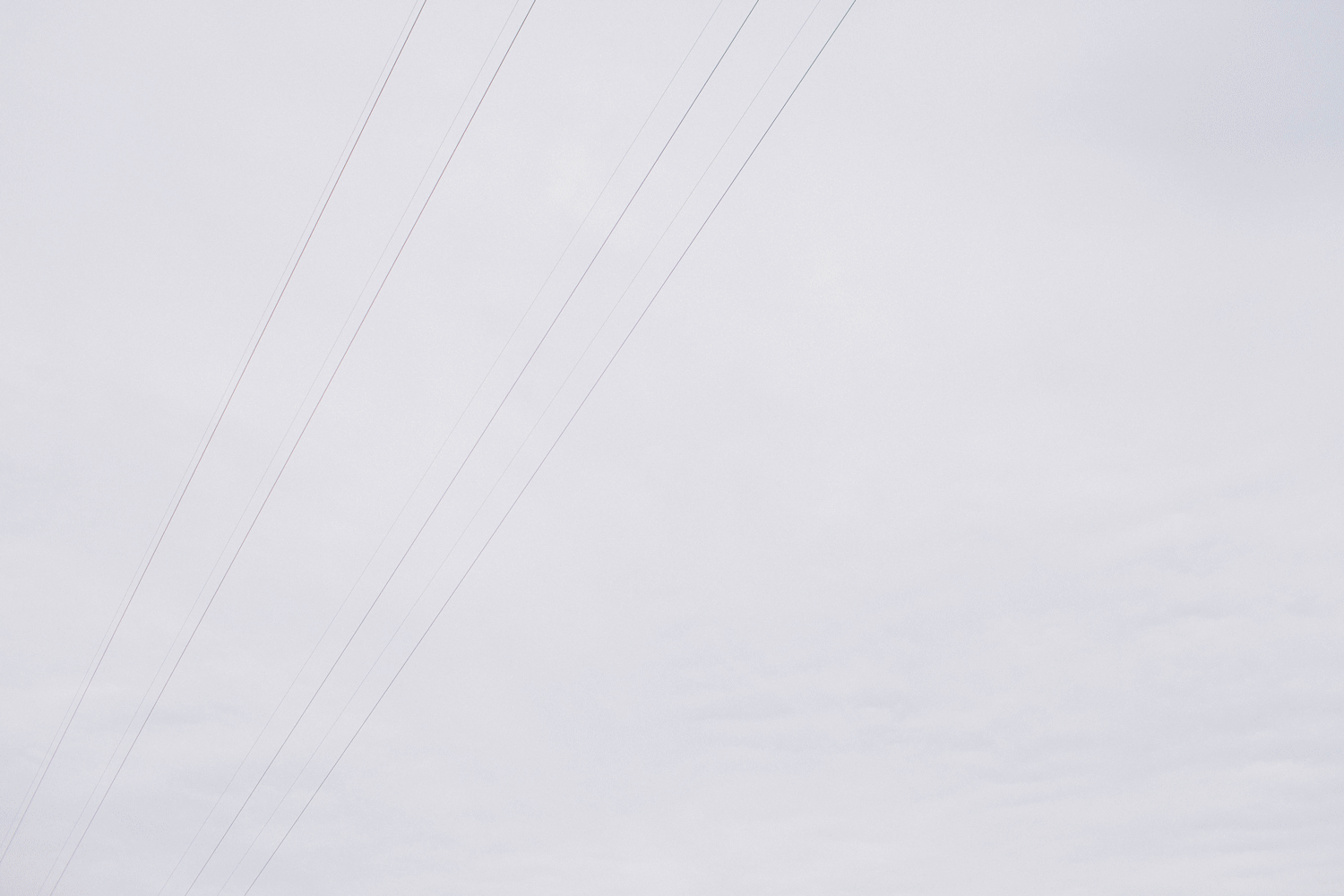 michael-rousseau-photography-Hebba-Tarek-CNE-Engagement-Session-Toronto-Wedding-Photographer036.gif