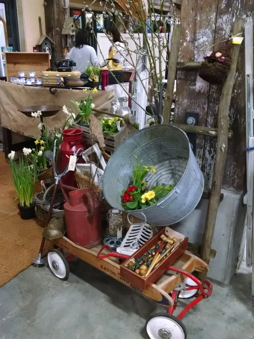 2016-03-04 19.54.36.jpg